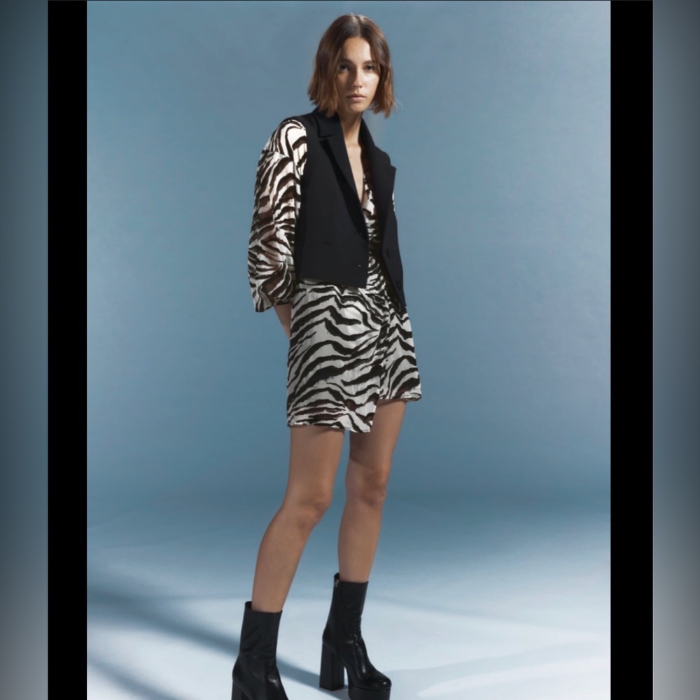 Zara Zebra Print Mini Dress in a Womens Size Small